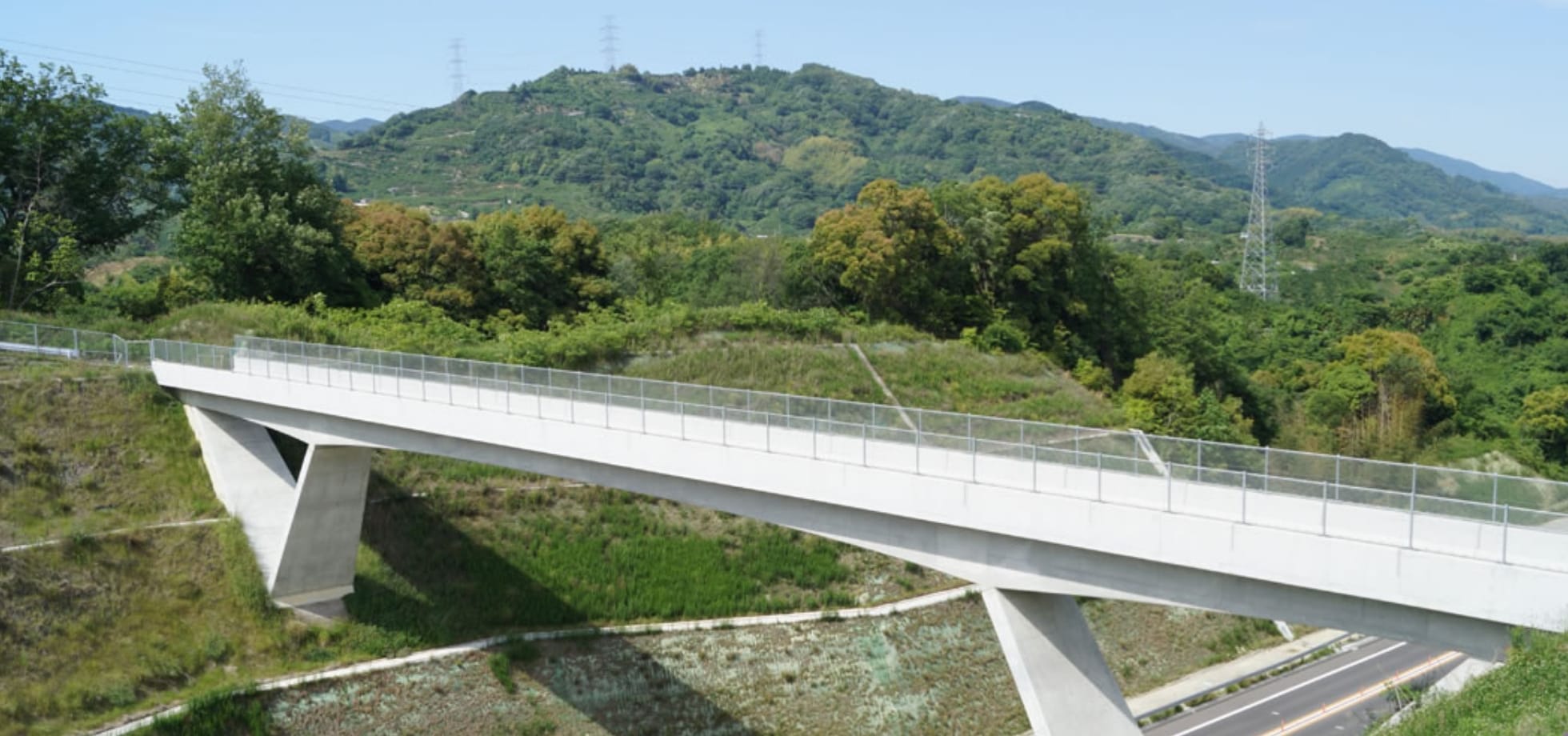 橋梁・構造物分野