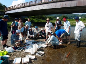 芥川　河川環境実習