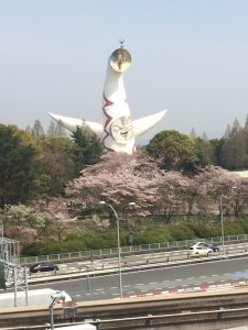 建コン協の野球大会に出場しました！