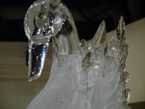 P1050043