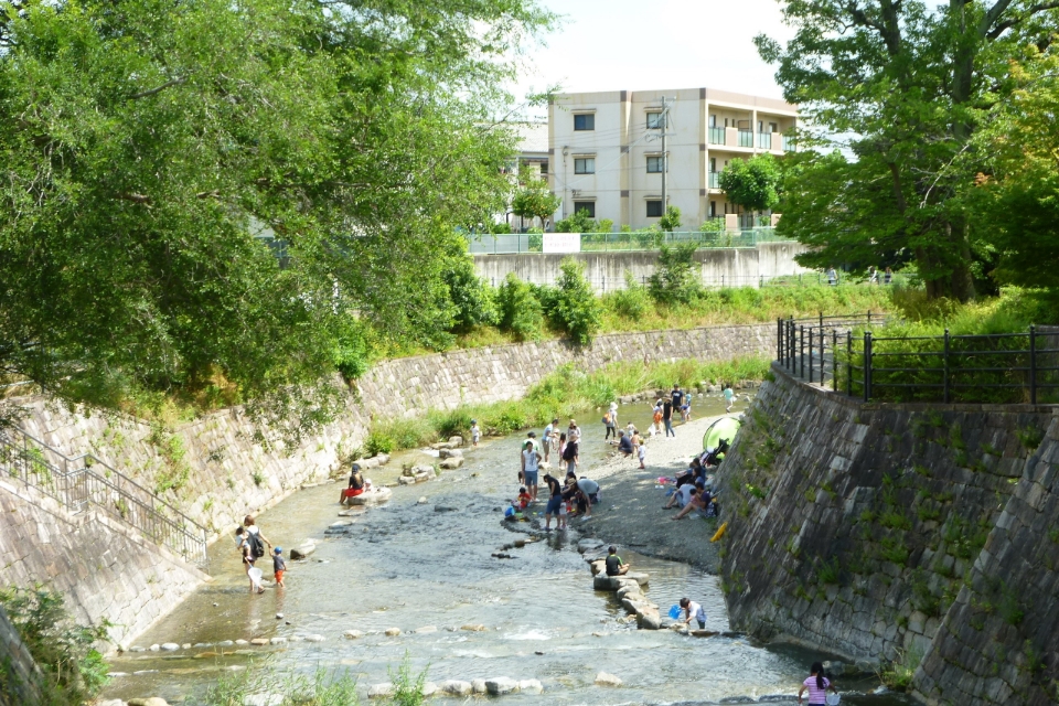 河川計画