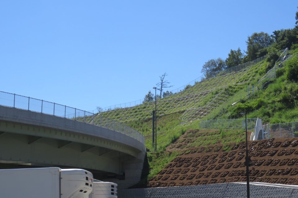 道路防災