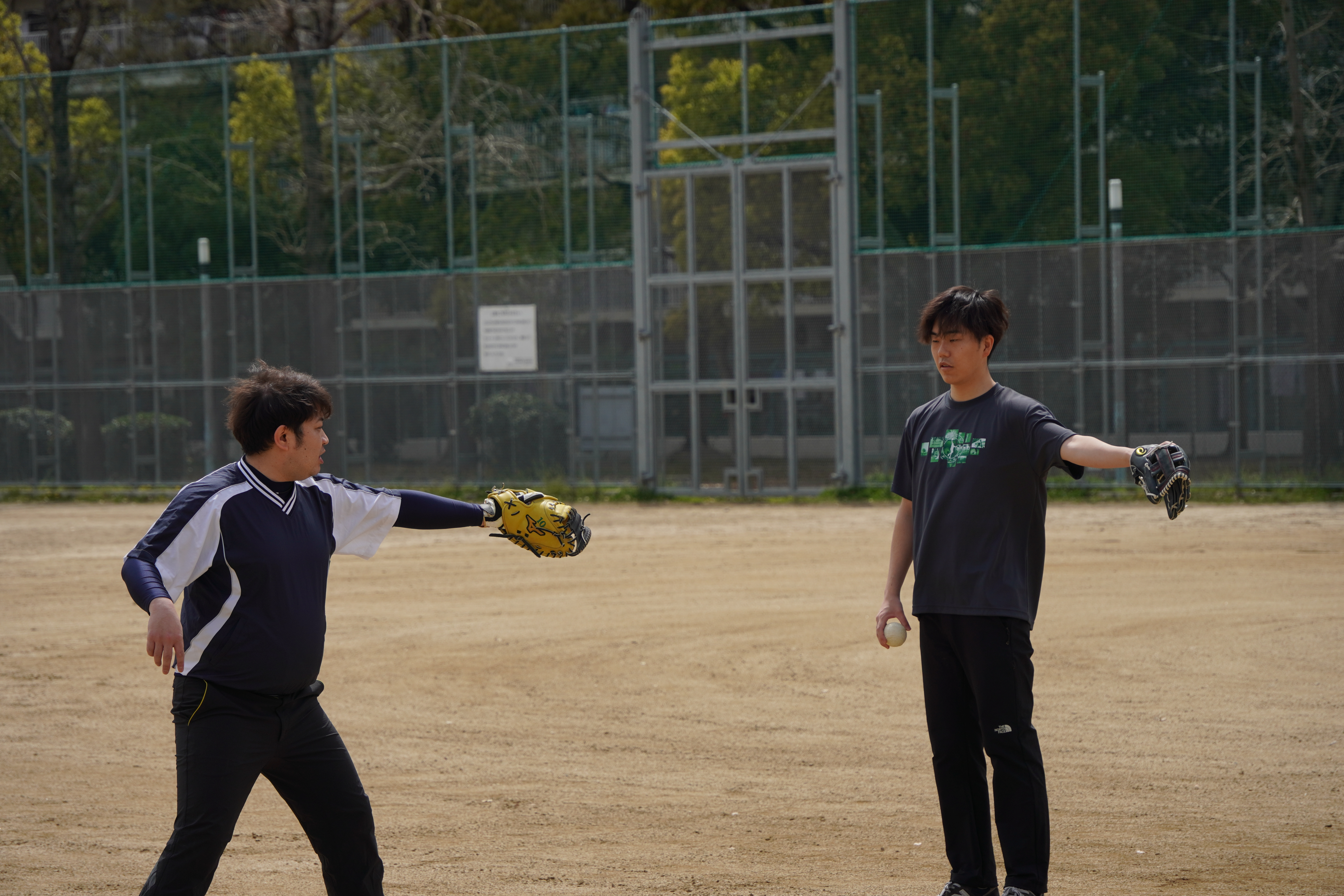 写真①